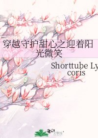 《穿越守護甜心之迎着陽光微笑》