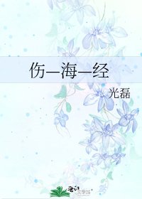 《傷—海—經》